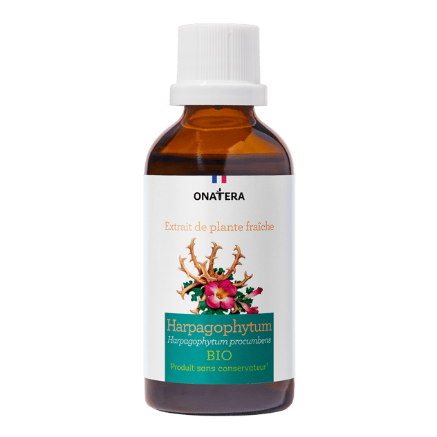 Gélules D'extrait De Griffe Du Diable (Harpagophytum) 5000mg - Pot De 90 - Marque Amalthe, Fabriqué En Inde